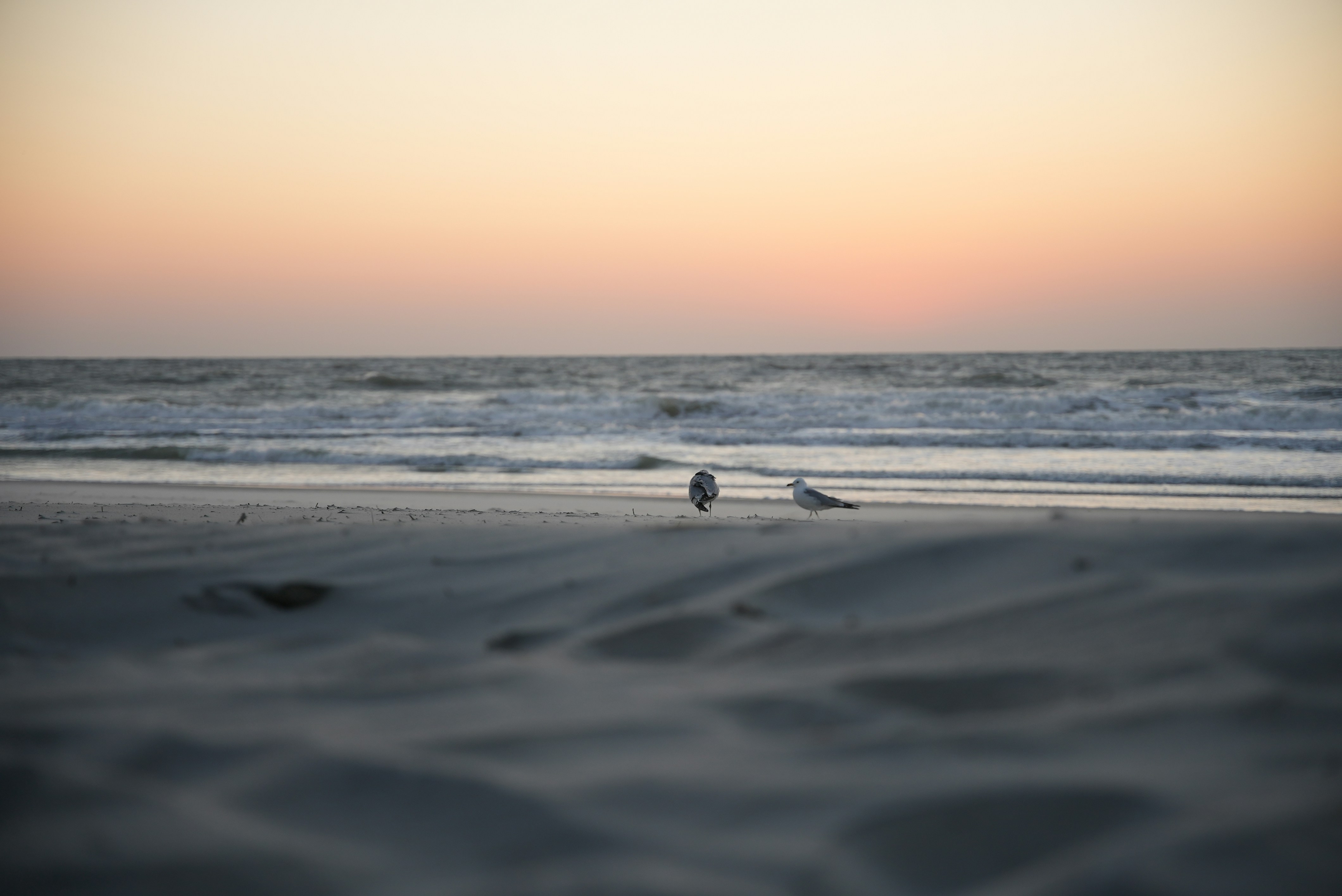 Photo by keeganjames