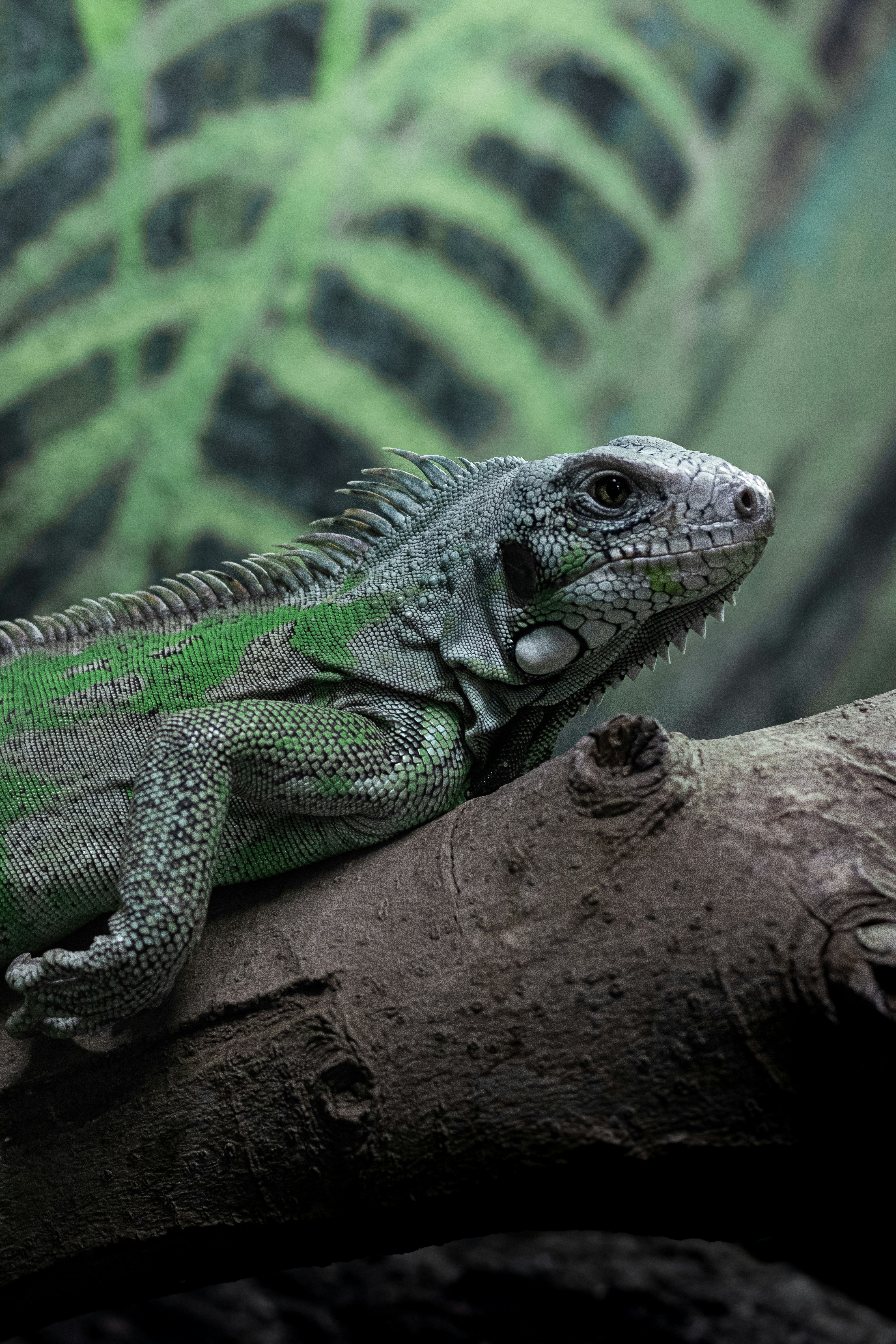 Photo by gabrieluizramos