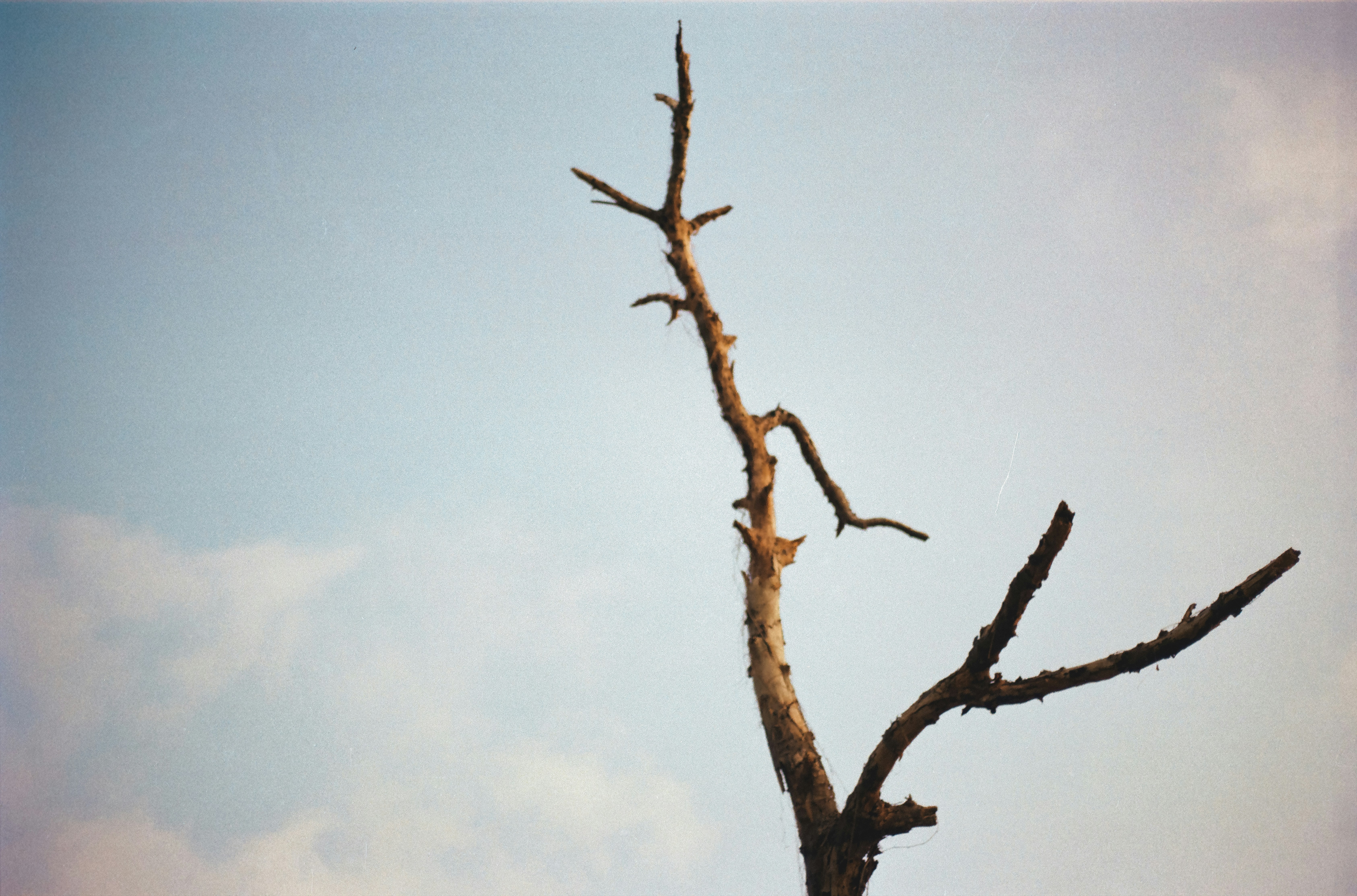 Photo by rancidpotatoes