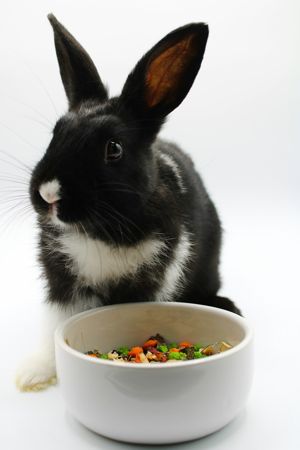 a black and white rabbit eating out of a bowl