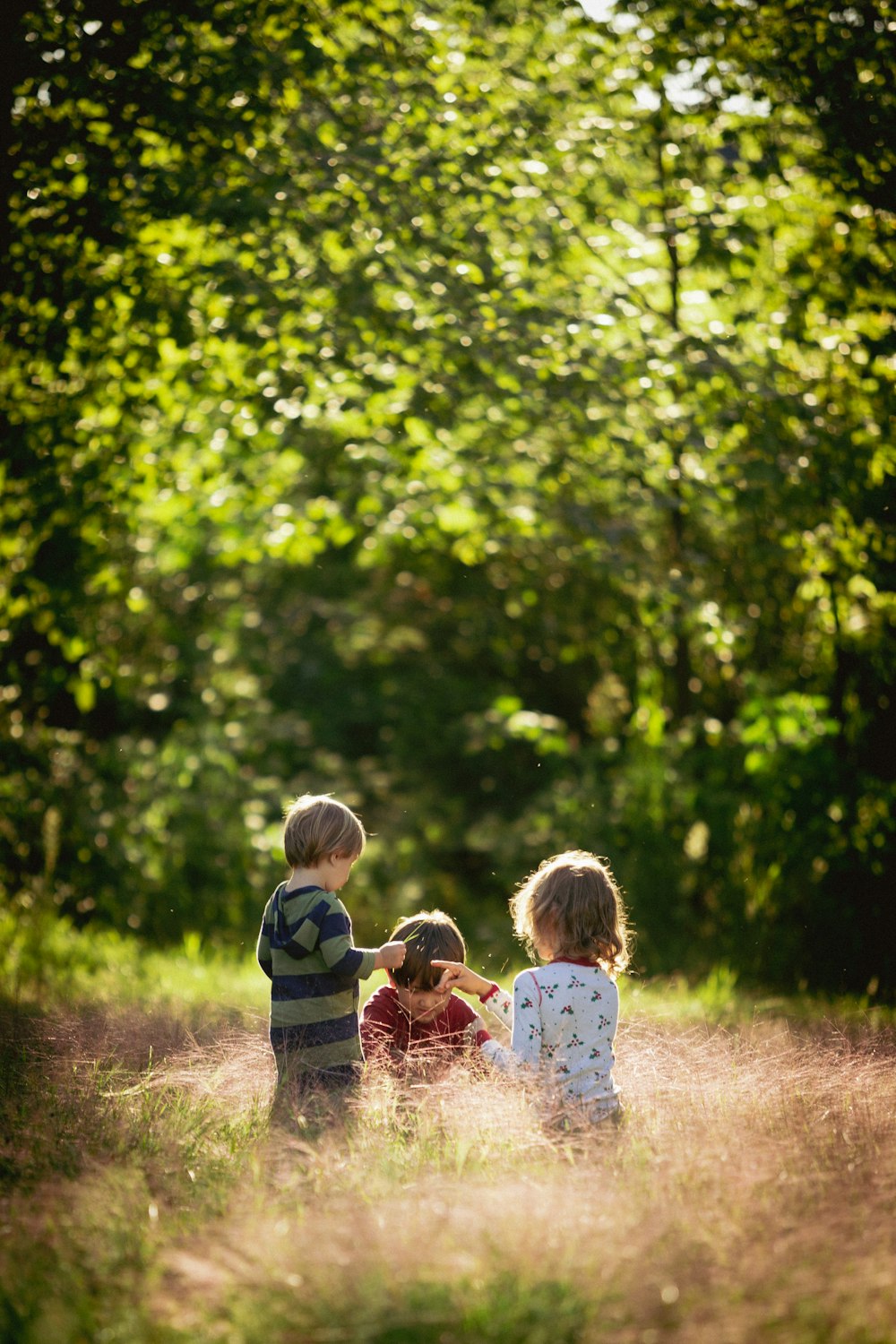three children are sitting in a field of tall grass