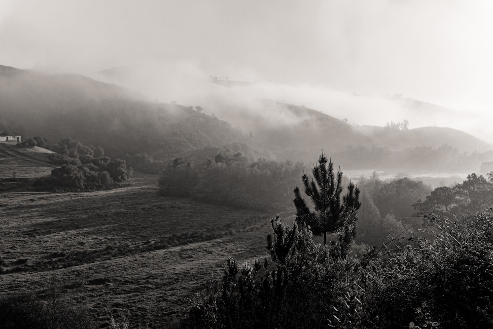 a black and white photo of a foggy valley
