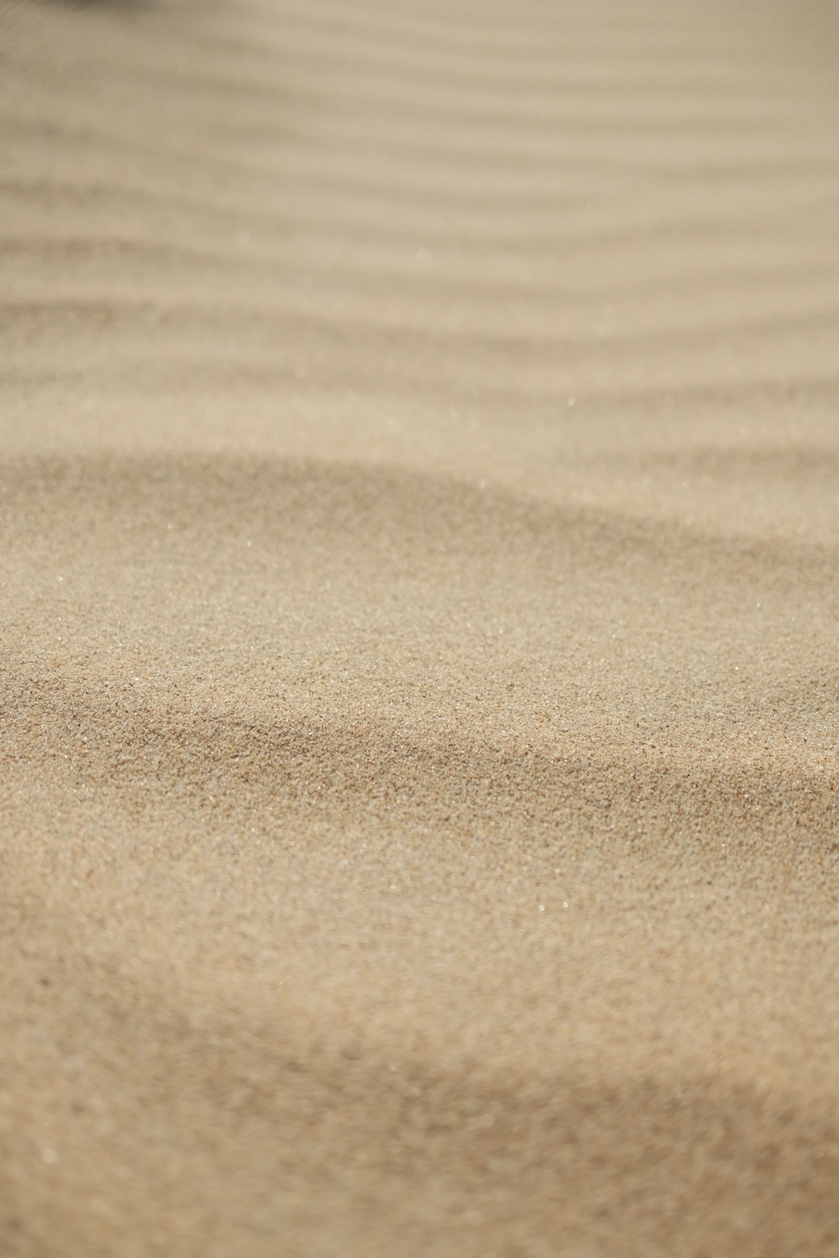 Close-up of fine desert sand