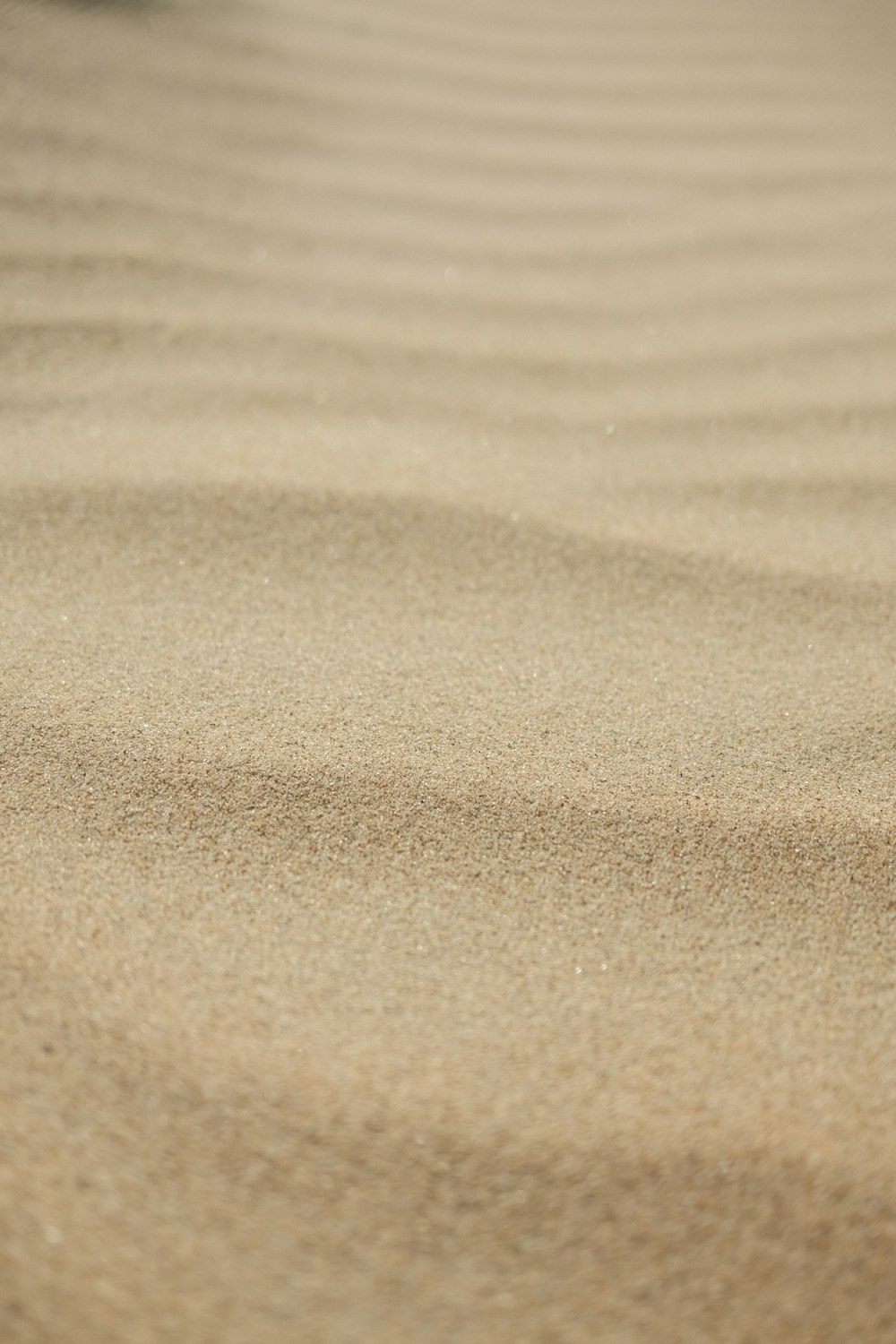 a close up of sand