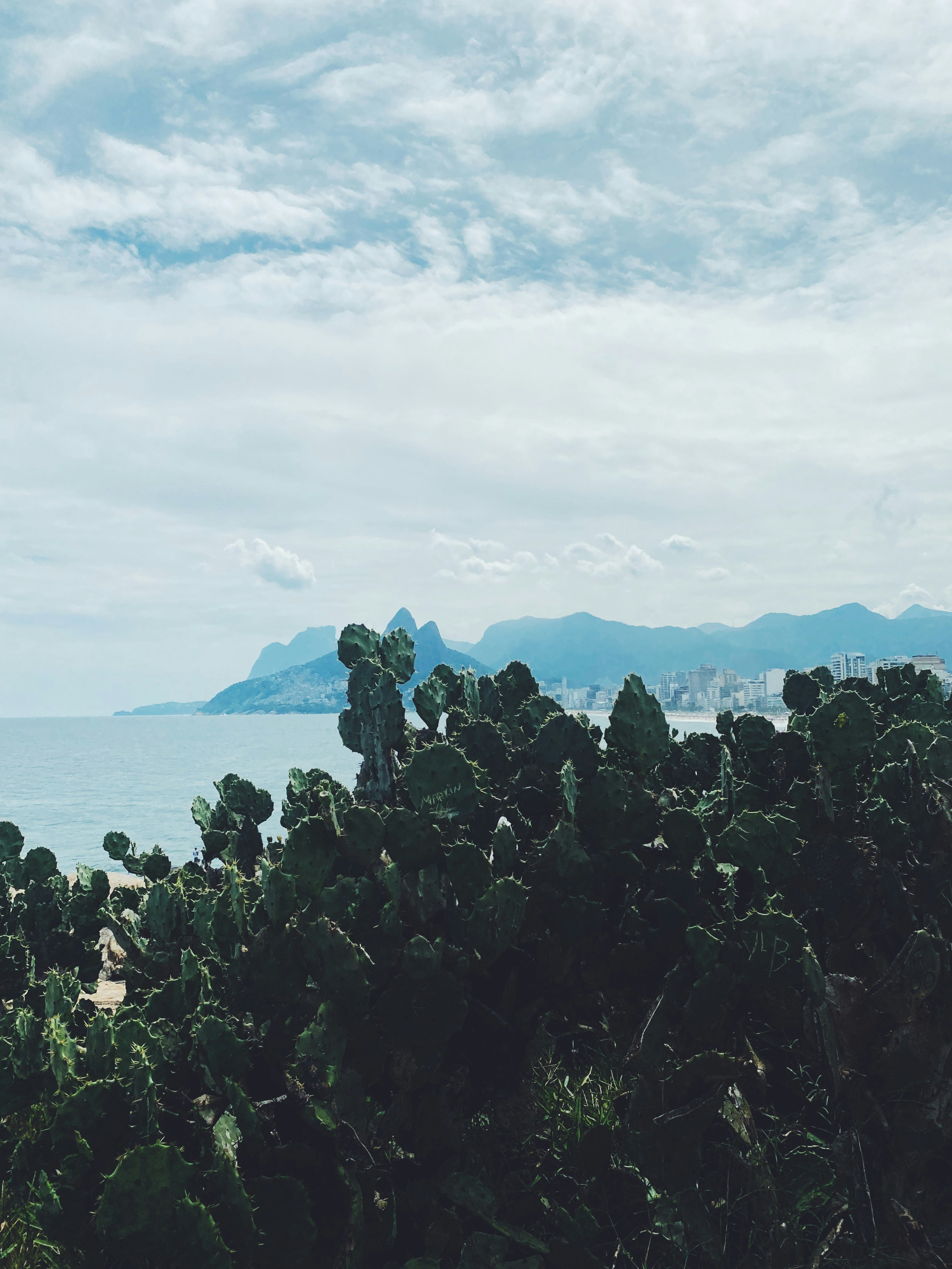 a view of a body of water with mountains in the background
