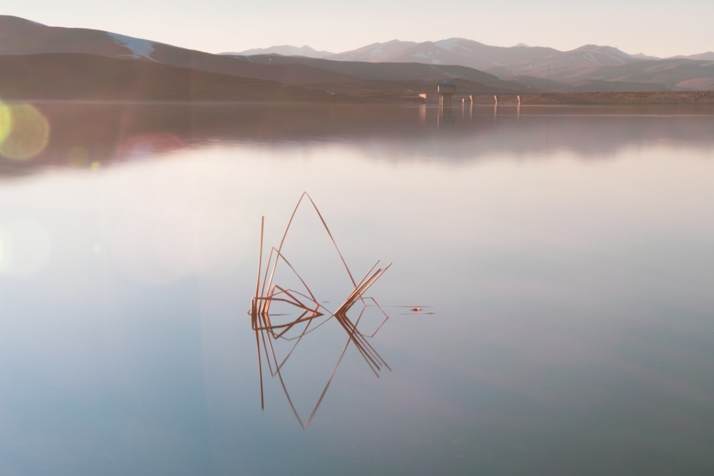 a body of water with mountains in the background