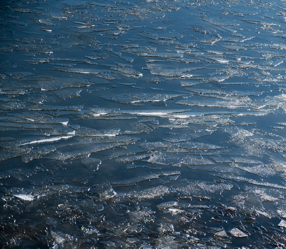 a body of water that has some ice on it