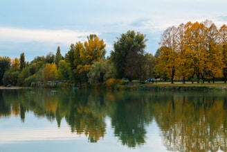 a body of water surrounded by lots of trees