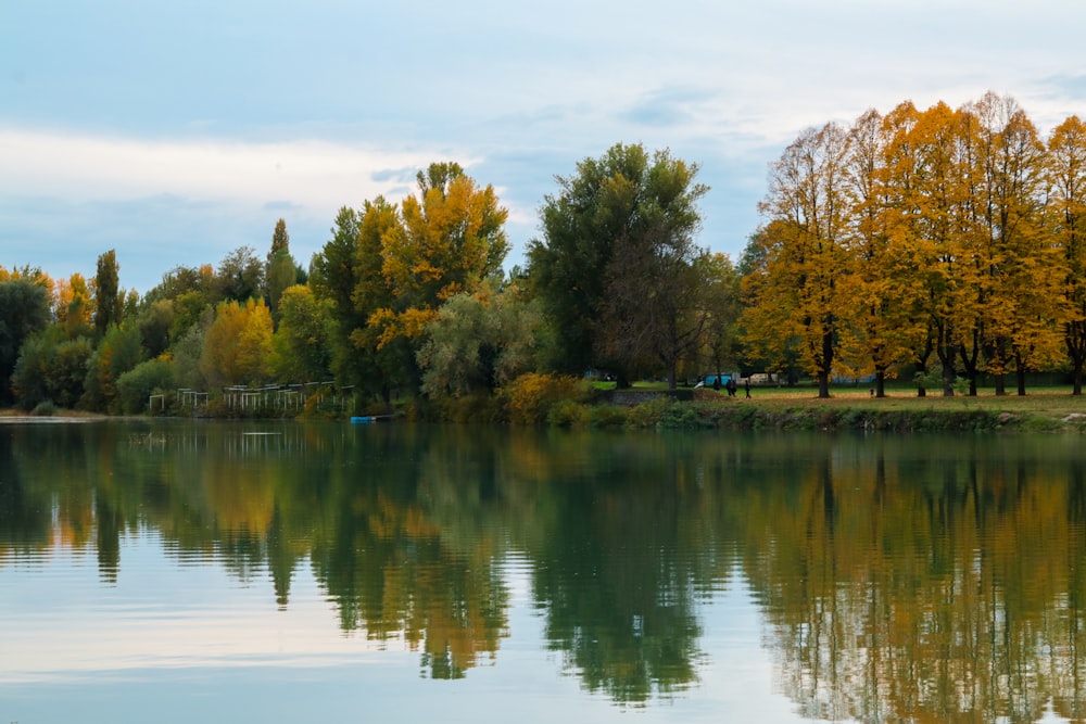 un plan d’eau entouré de nombreux arbres