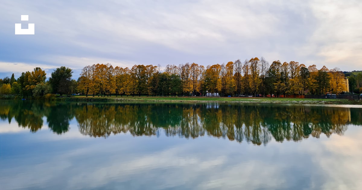 木々を背景にした水域の写真 Unsplashの無料パルコ・デッラ・キウーザ写真