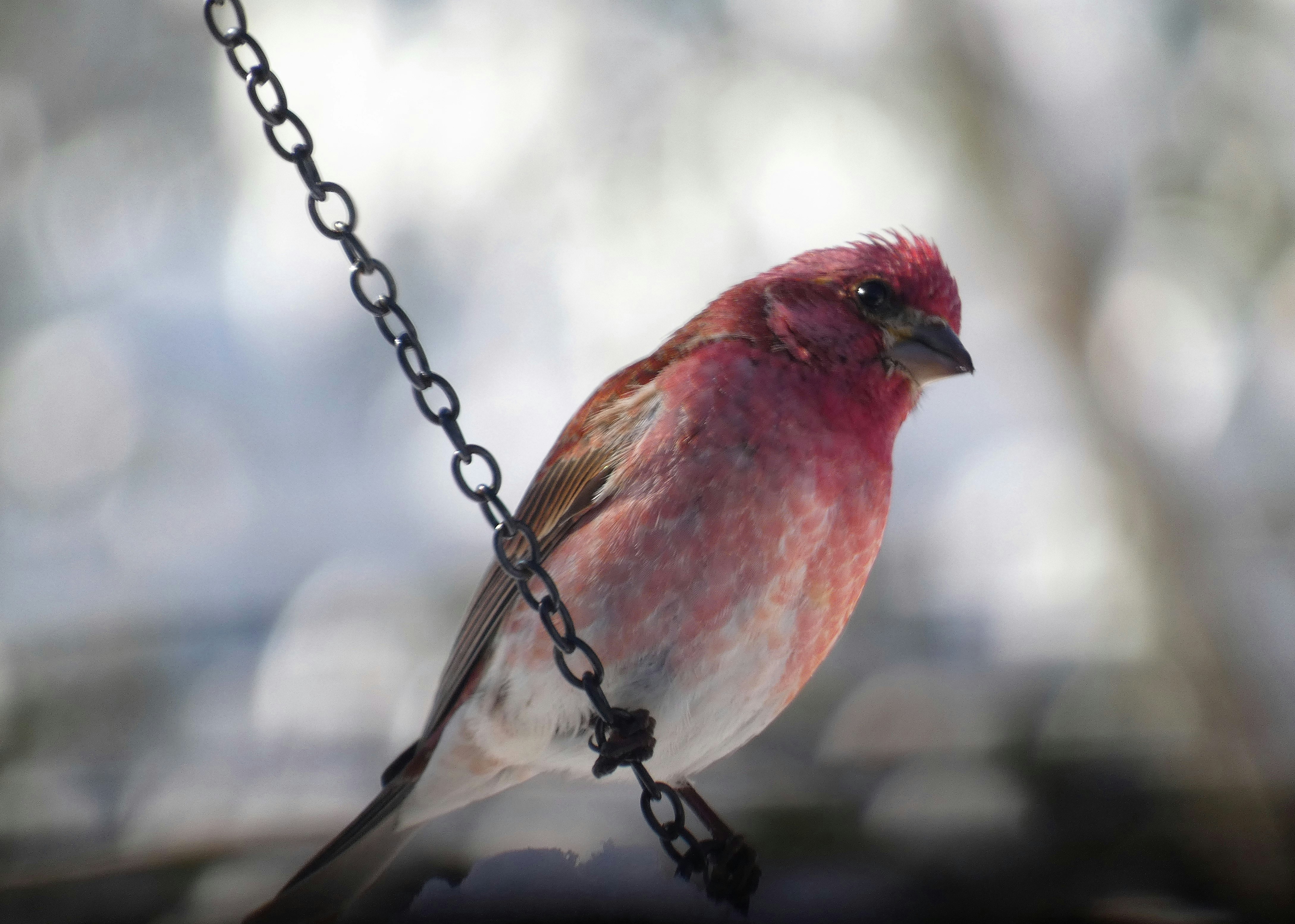 Photo by arkansas007