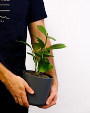 a man holding a potted plant in his hands