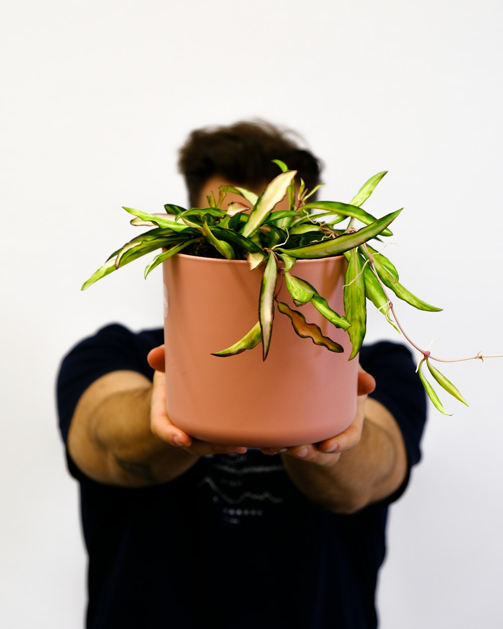 Un hombre sosteniendo una planta en maceta frente a su cara