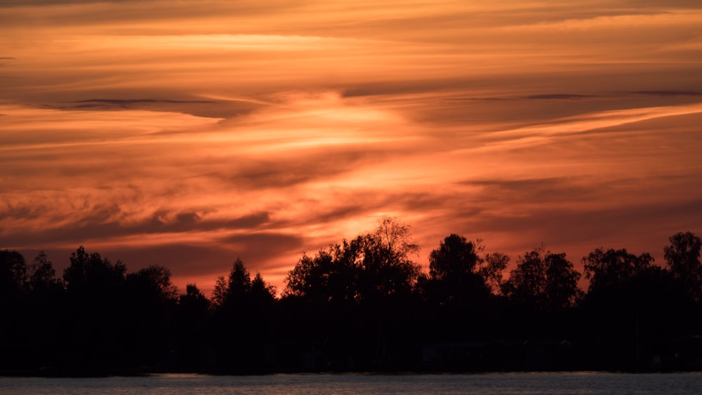 the sun is setting over the trees and water