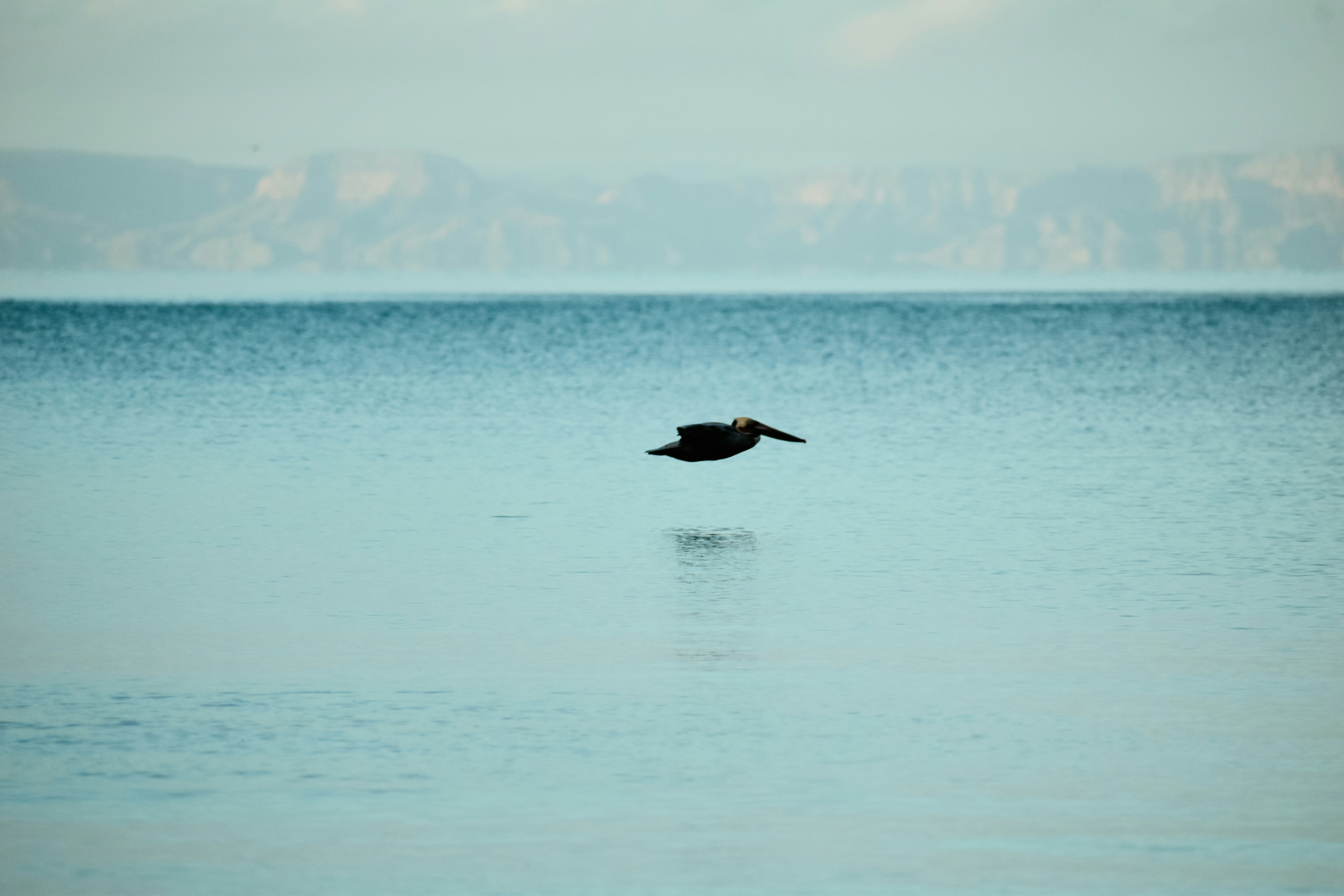 Photo by mmmkaydesign