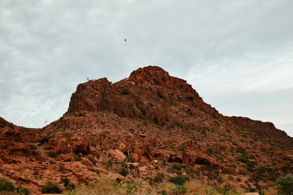 a mountain with a bird perched on top of it