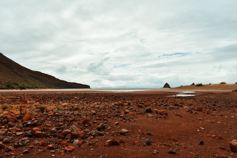 a rocky beach with a mountain in the background