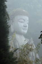 a statue of buddha surrounded by trees and fog