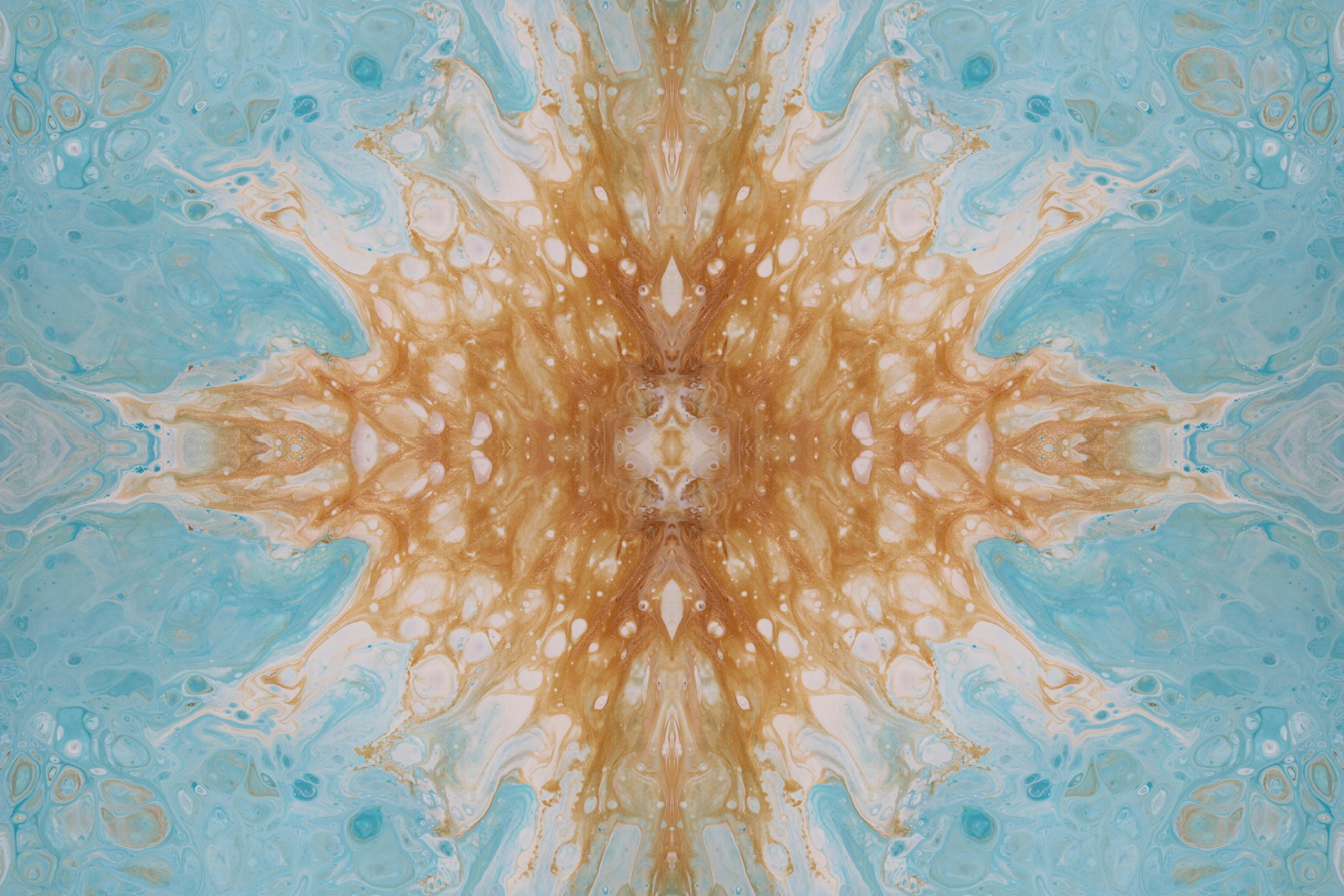 Photo by susan_wilkinson