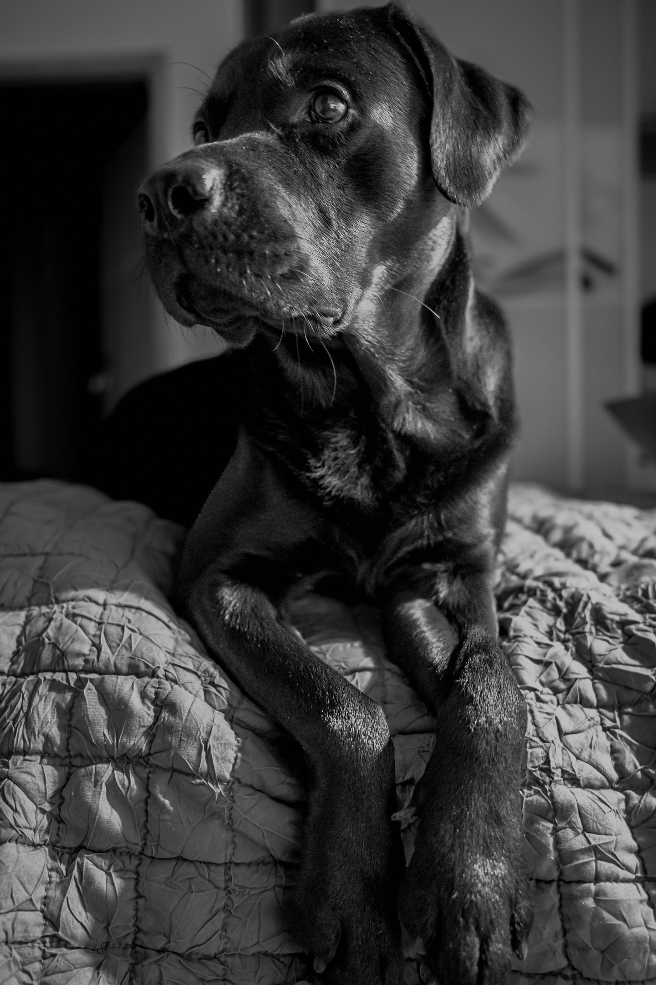 Photo by eugenechystiakov