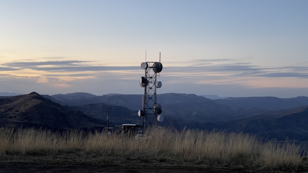 a cell phone tower in the middle of a field