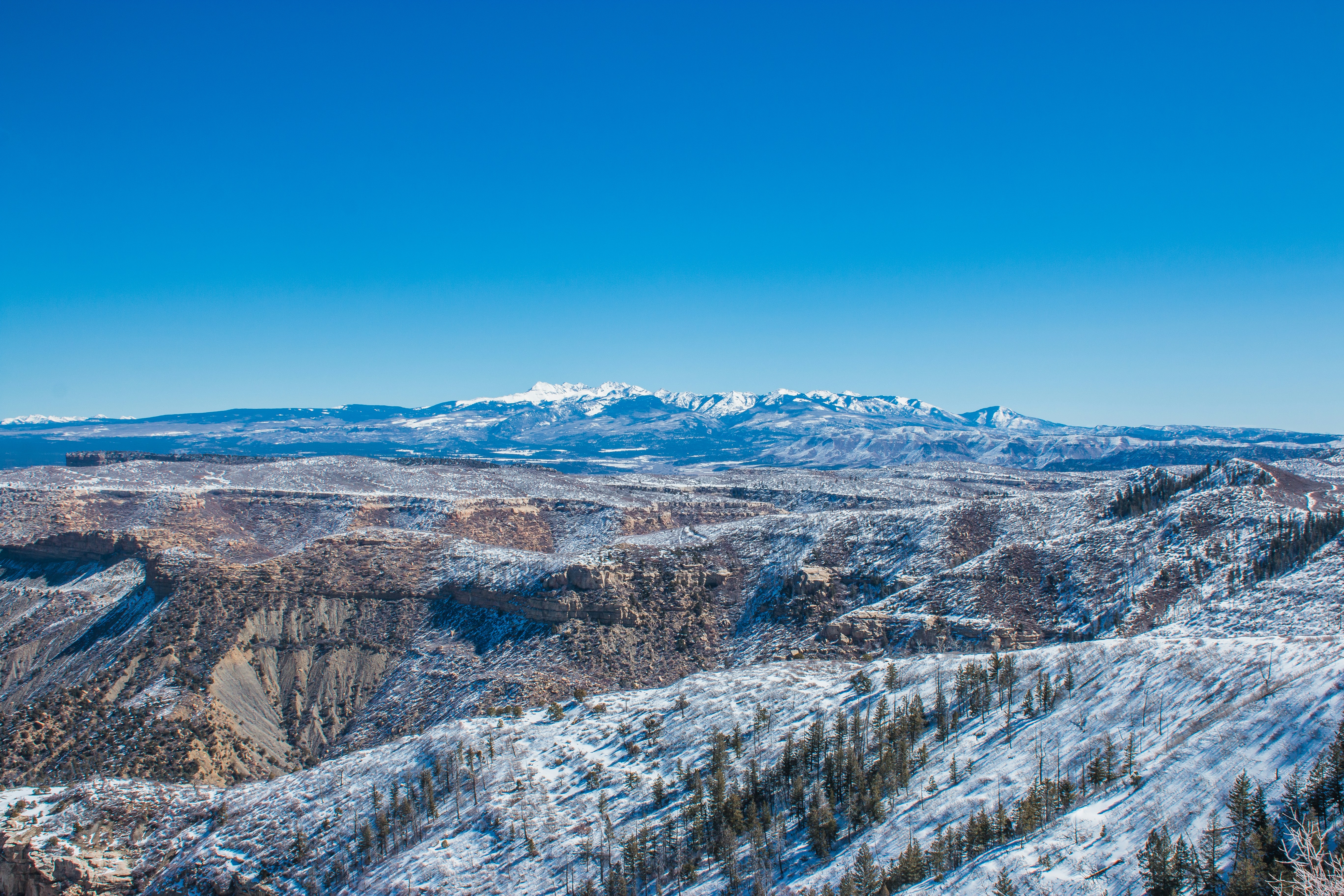 Photo by reidneedham