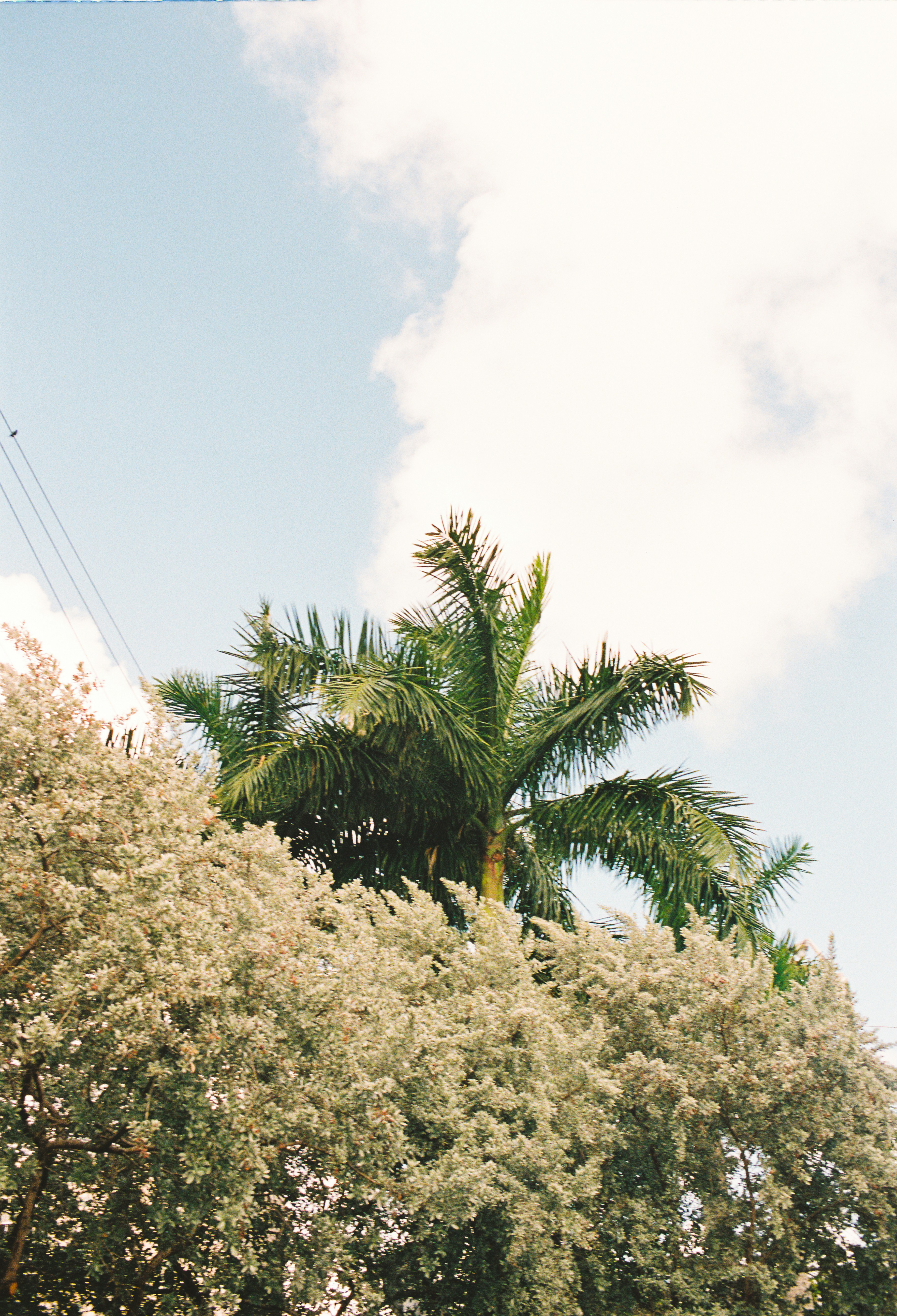 Photo by marcocerrato_