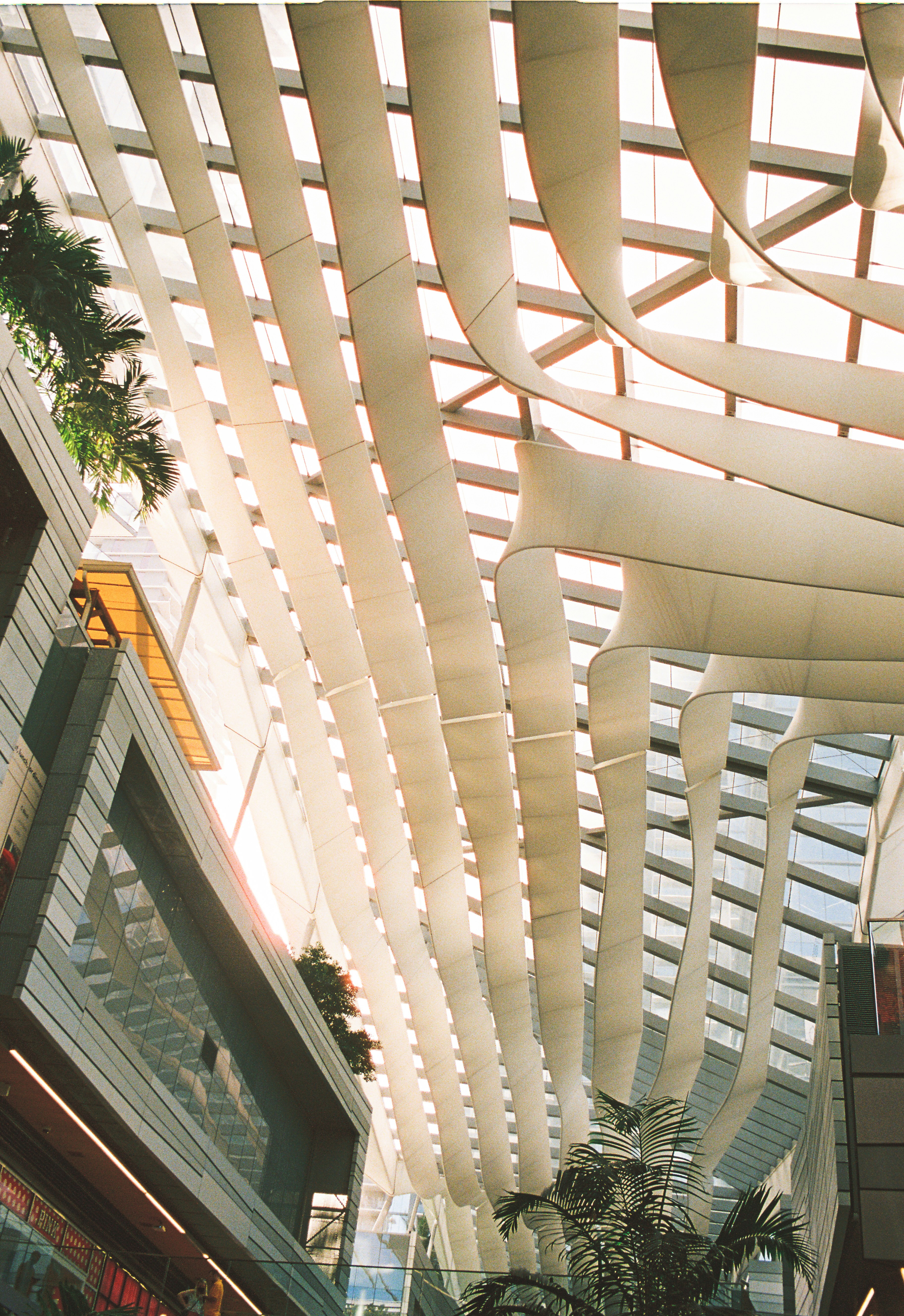 Photo by marcocerrato_