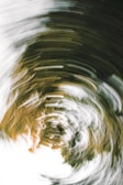A dynamic, swirling pattern dominates the scene, featuring blurred lines in shades of white, brown, and green. The motion creates a hypnotic spiral effect, evoking a sense of movement and fluidity, resembling a forest seen through a spinning lens.