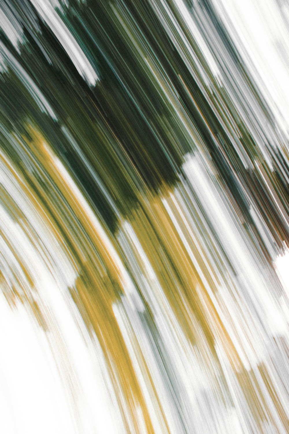 a blurry photo of a tree with yellow and green leaves