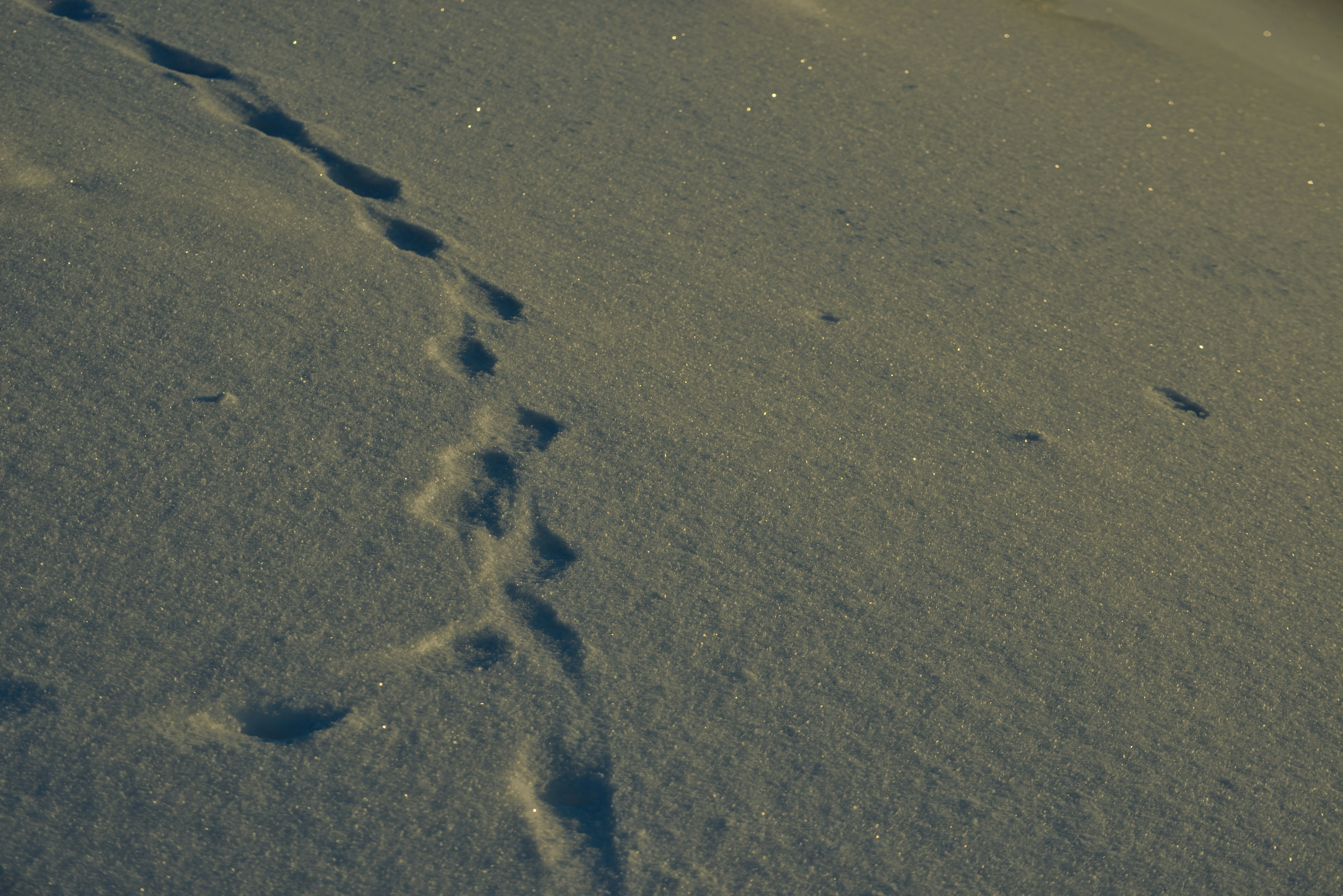 Photo by terra_gallery