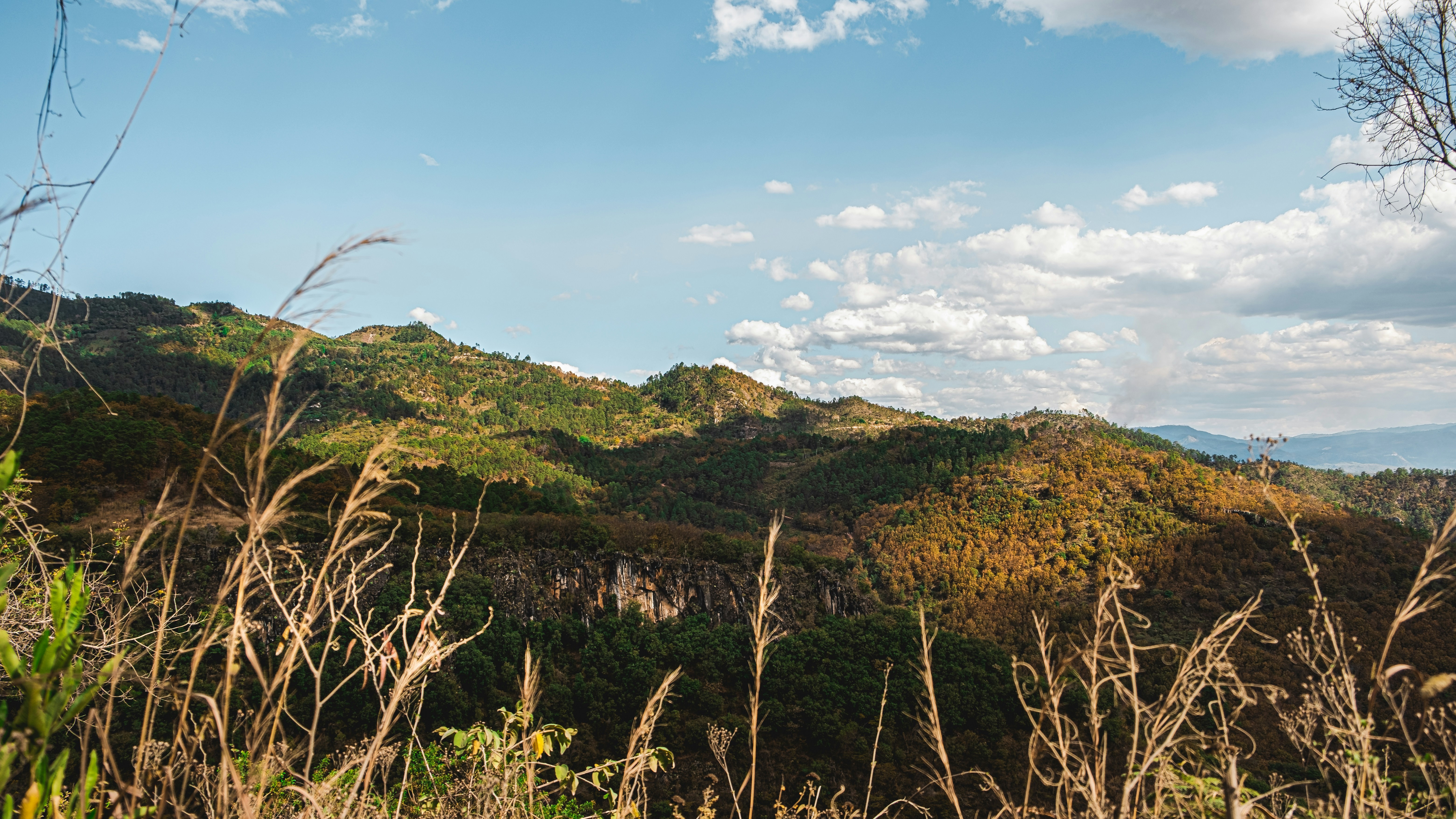 Photo by 17allansfilms