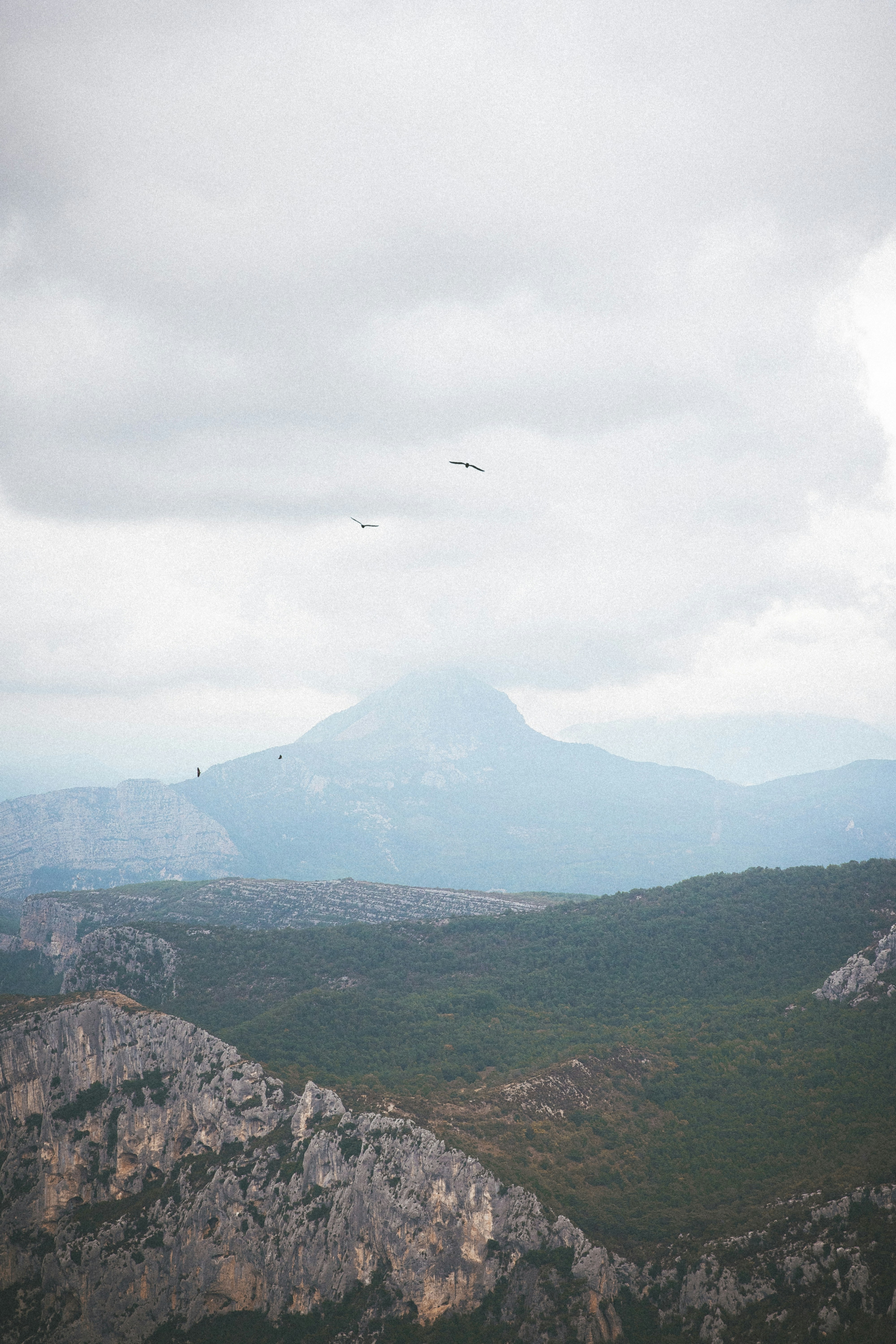 a view of a mountain range with a bird flying over it