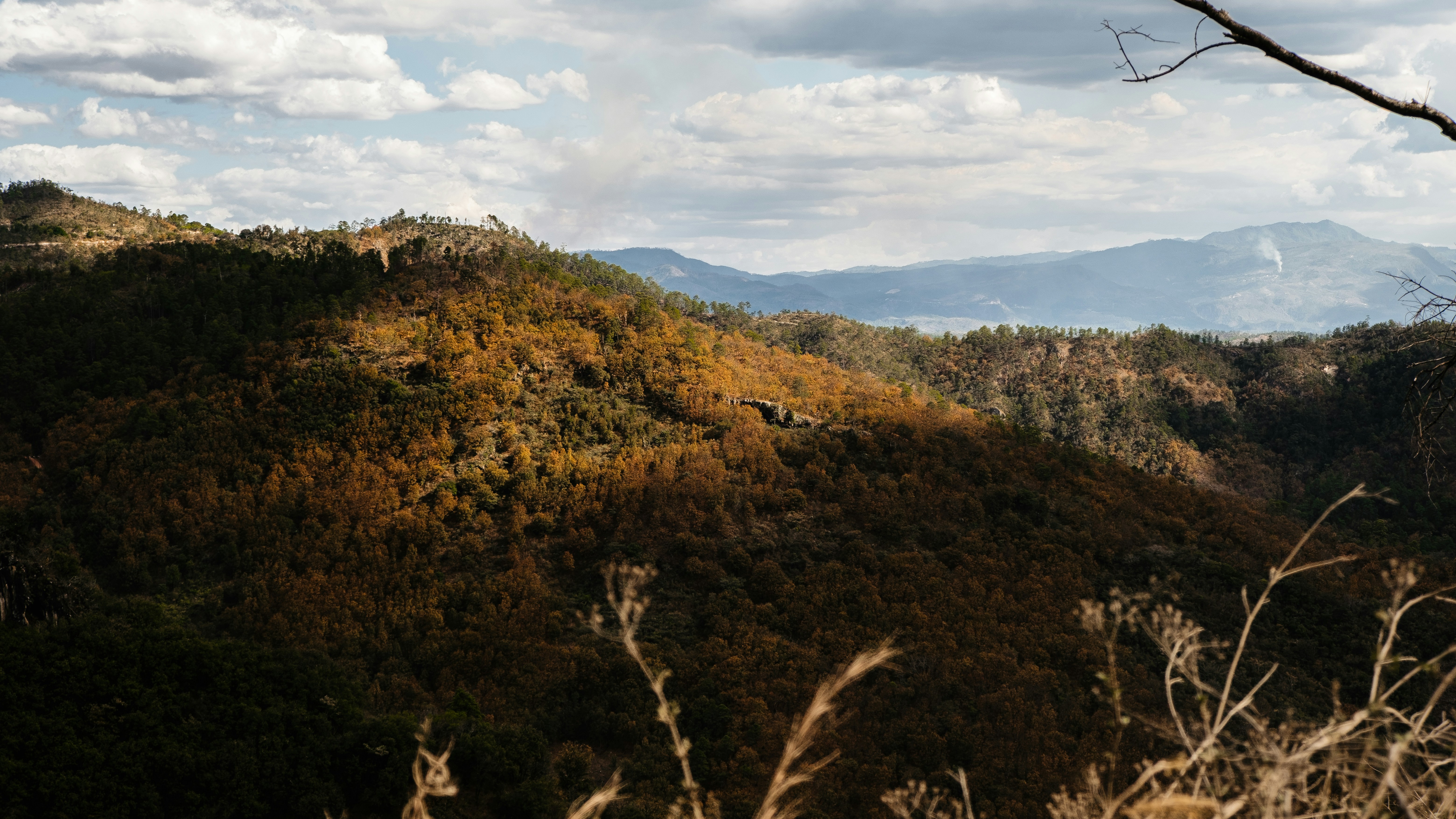 Photo by 17allansfilms