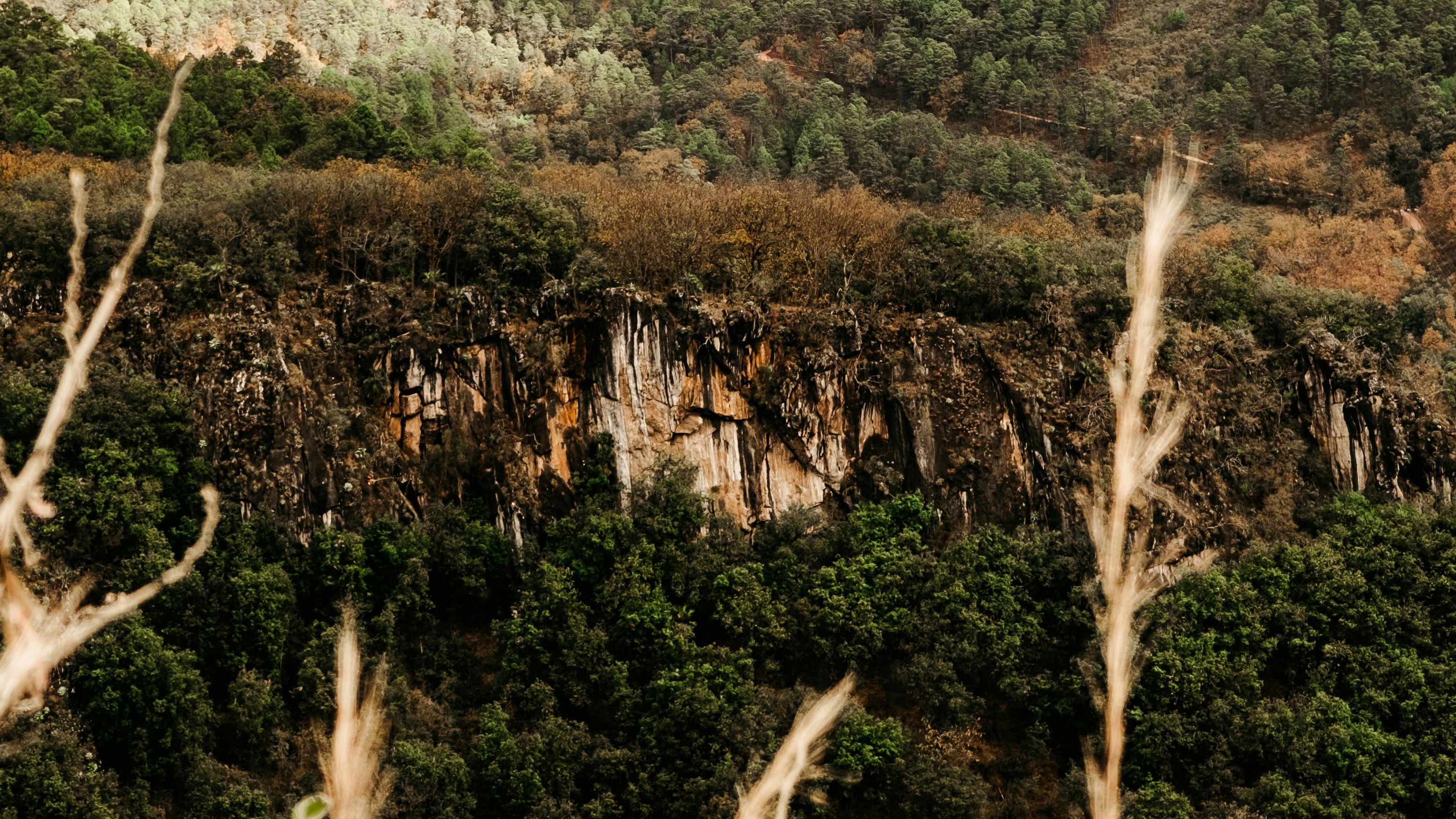 Photo by 17allansfilms