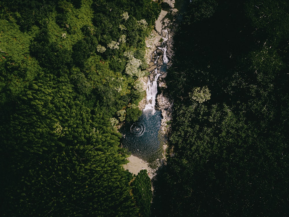 an aerial view of a waterfall surrounded by trees