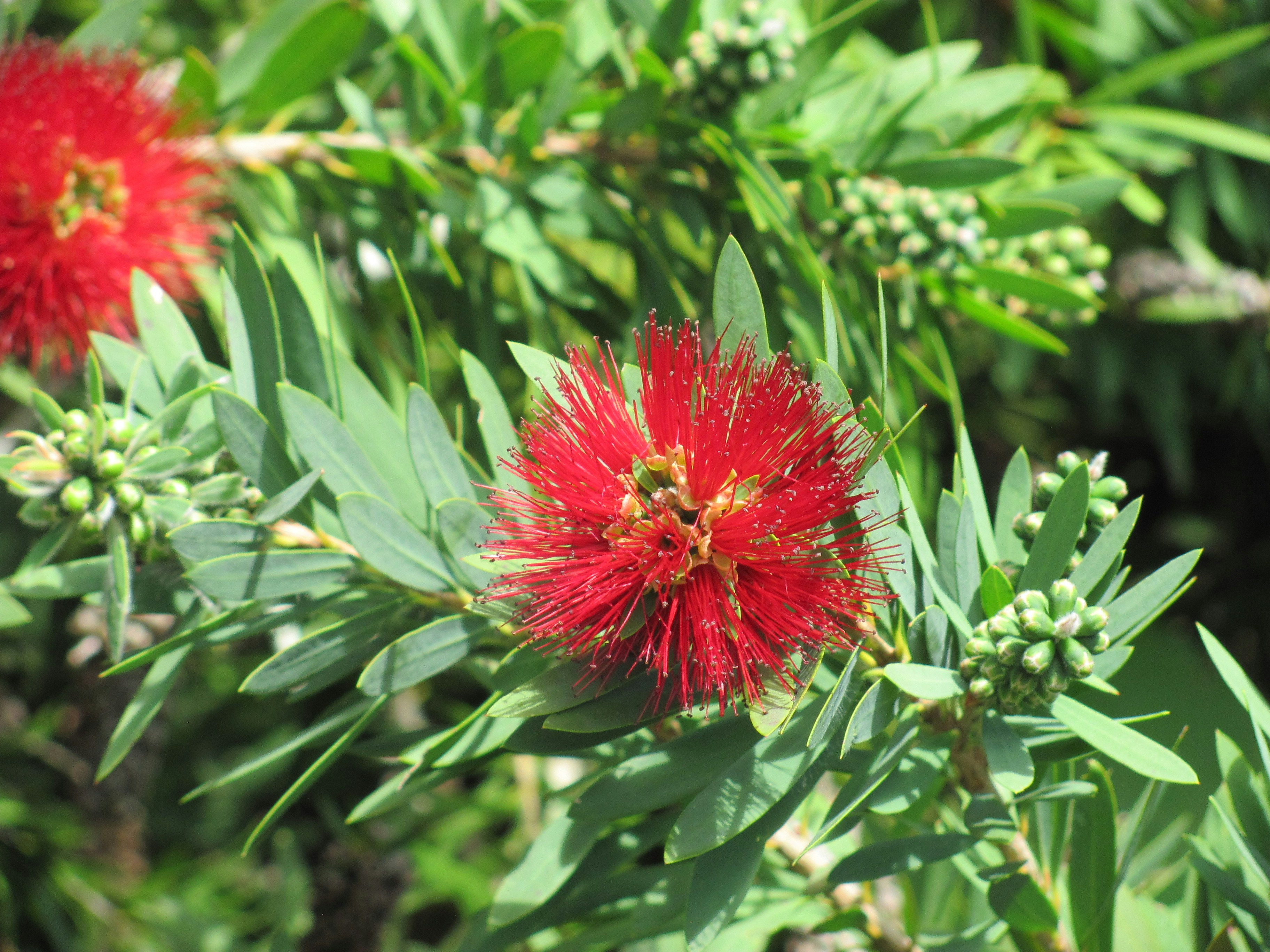 Photo by cherrysakura