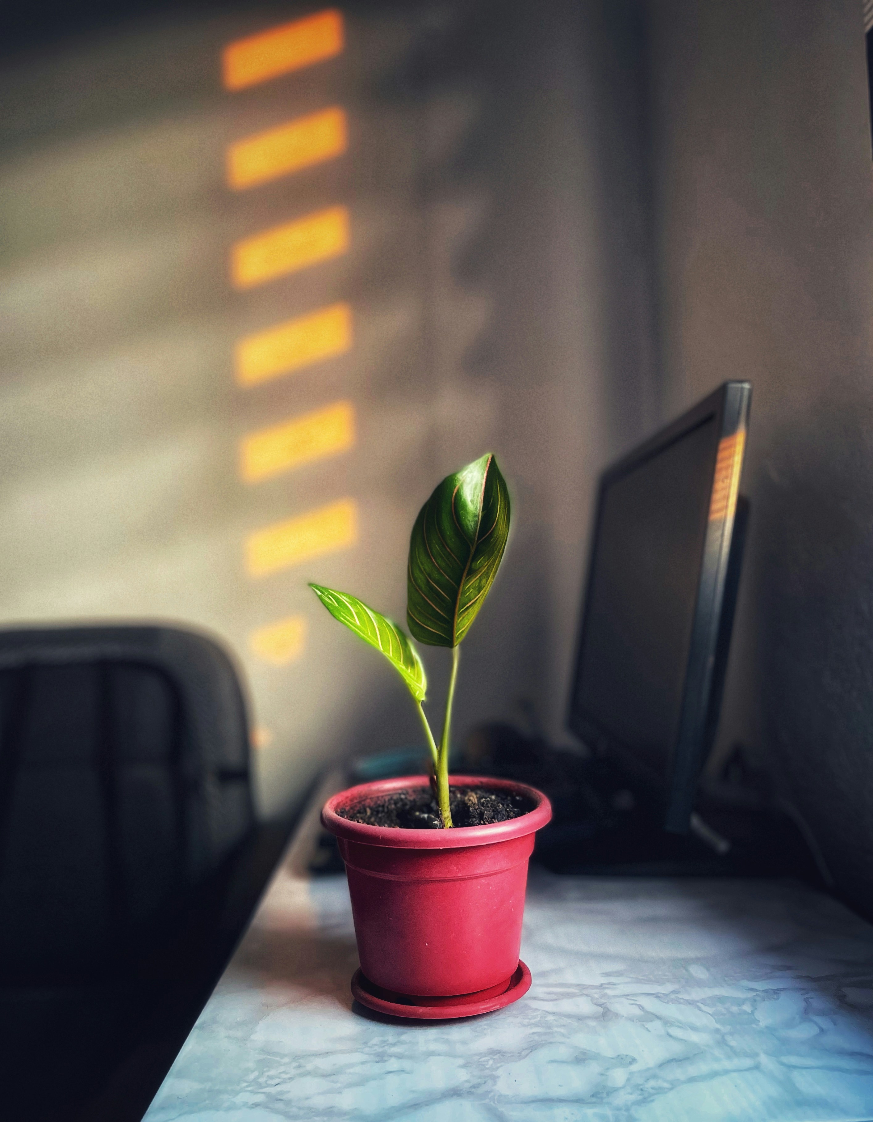 10 Digital Transformation Tips Every Business Needs for Long-Term Growth