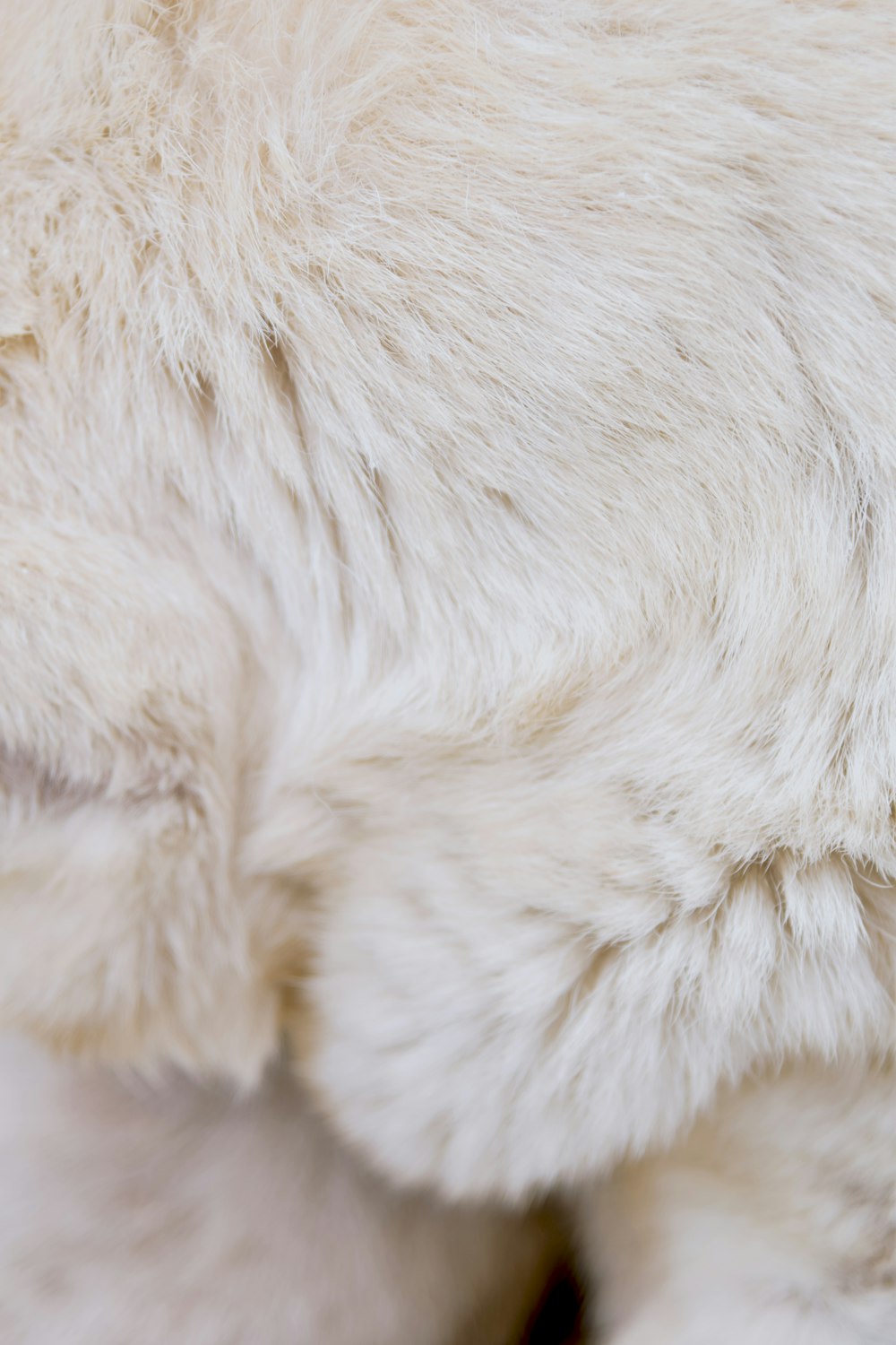 a close up of a polar bear's fur