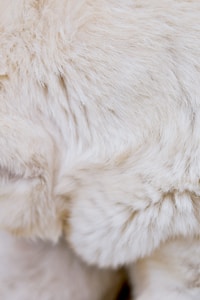 Cozy Fleece