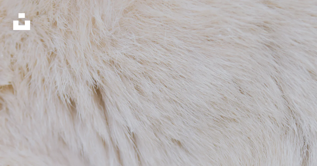Translucent Fur A close up of a polar bear's fur photo – Free Pattern Image on Unsplash