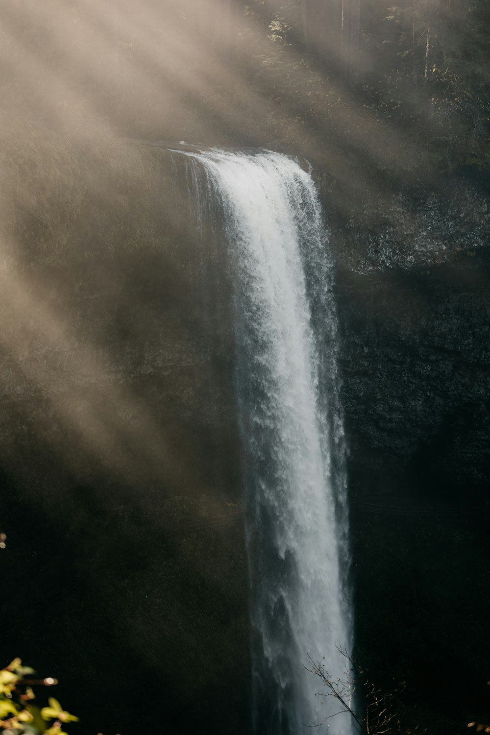 a large waterfall in the middle of a forest