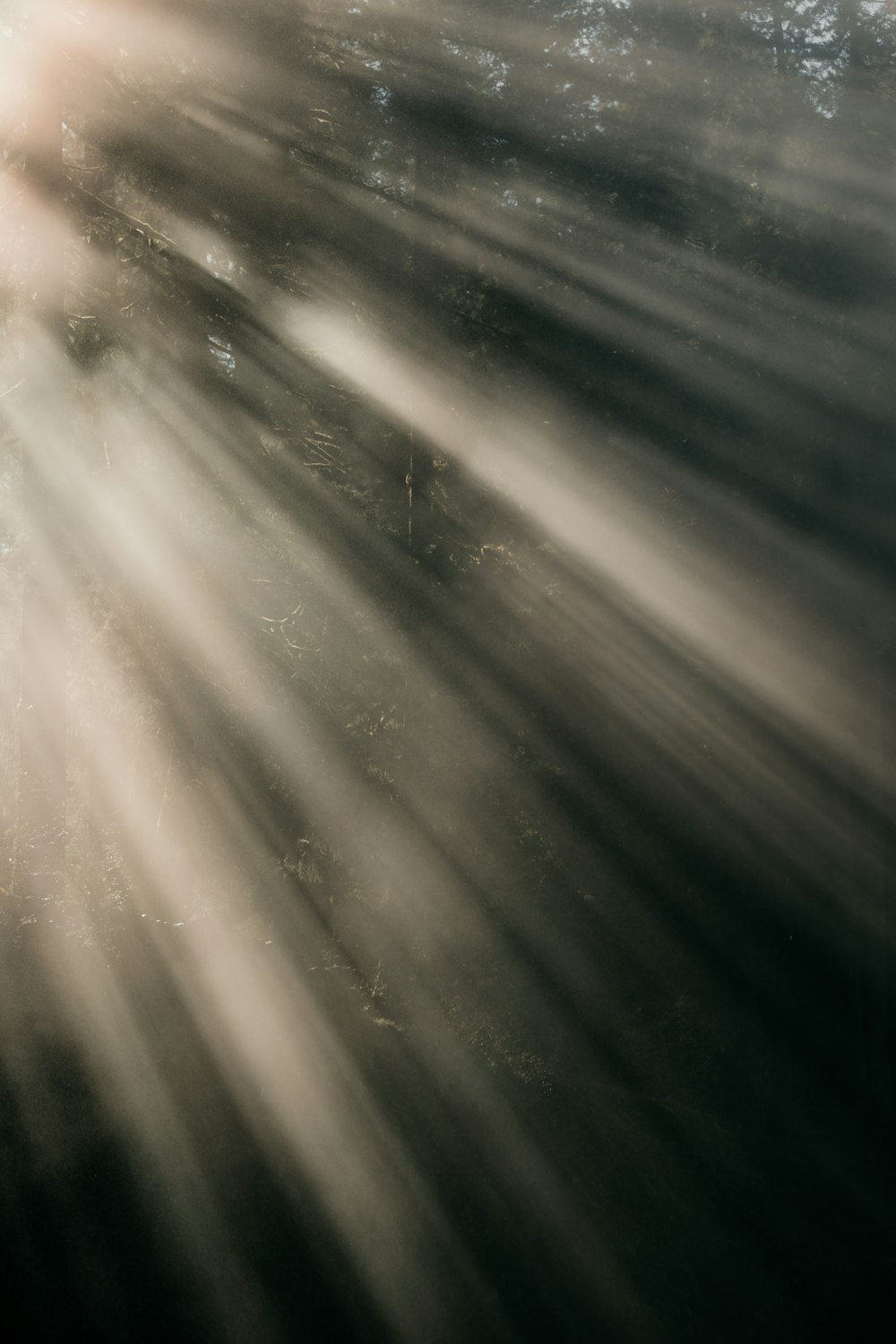 El sol brilla a través de las nubes en el agua