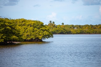 a large body of water