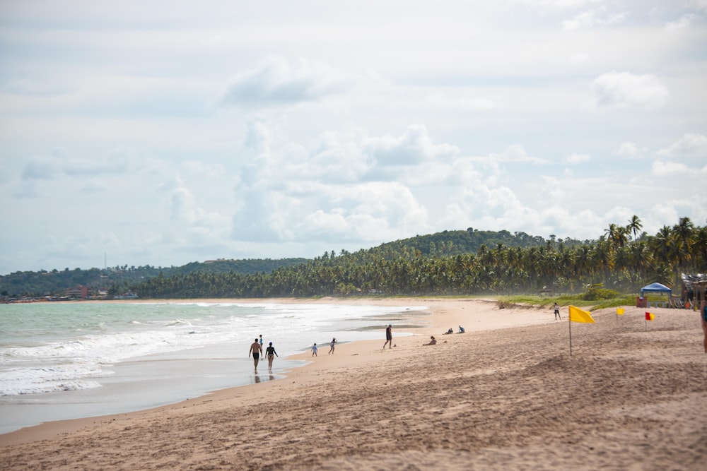 a group of people standing on top of a sandy beach