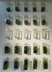 a white brick wall filled with glass jars filled with plants