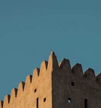 a bird is perched on top of a building