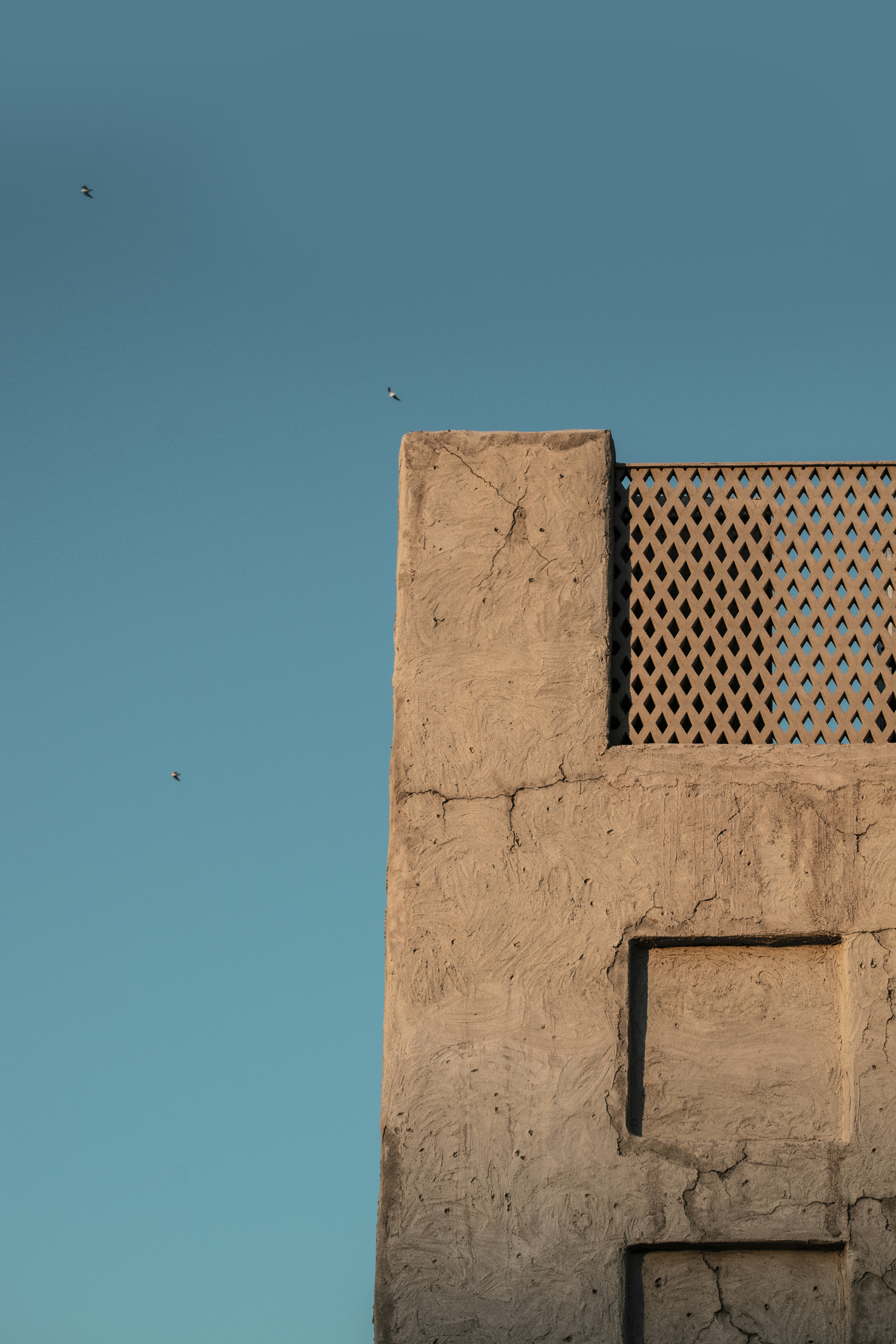 a bird is sitting on the ledge of a building