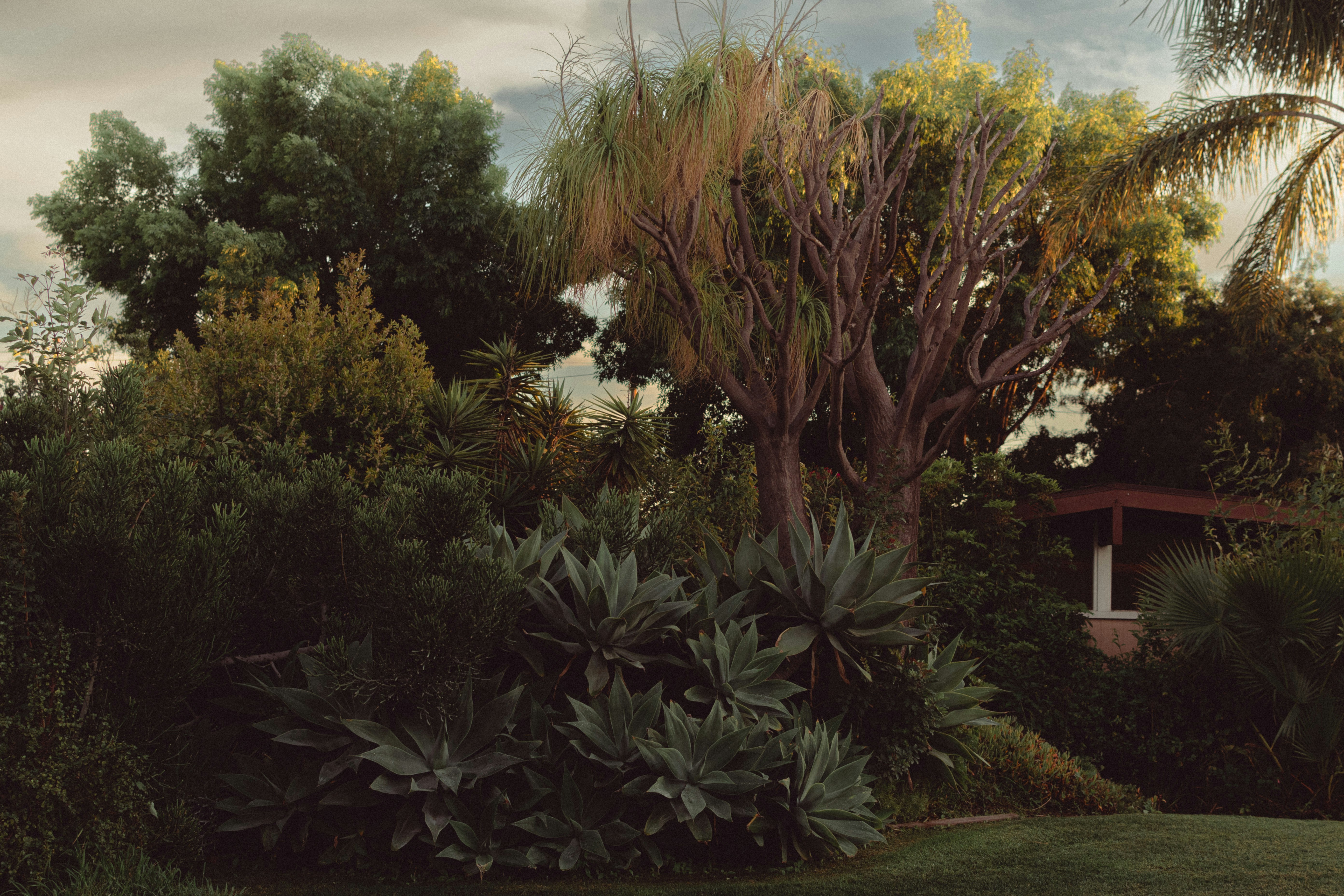 A stunning residential landscaped garden.