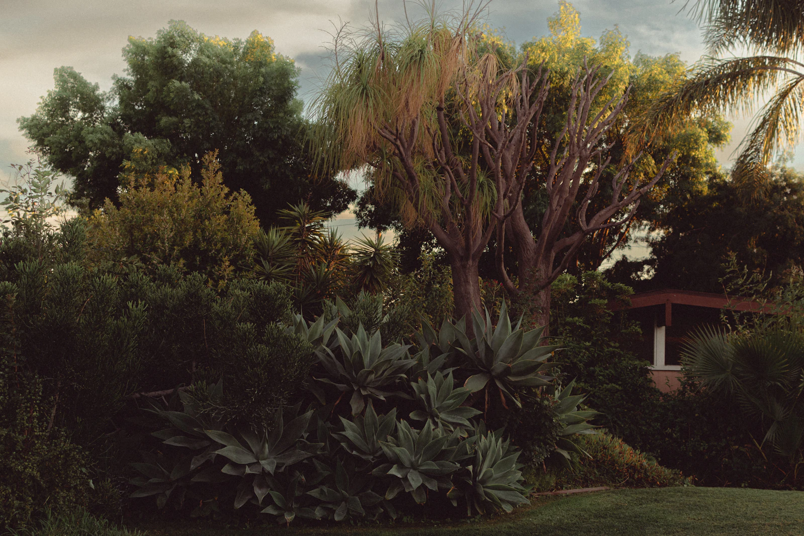 The Wentworth Landscaping team